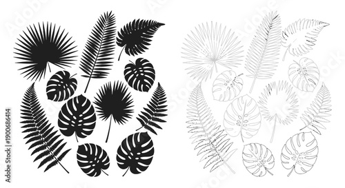 Stylized tropical leaves in black and white featuring monstera and fern varieties