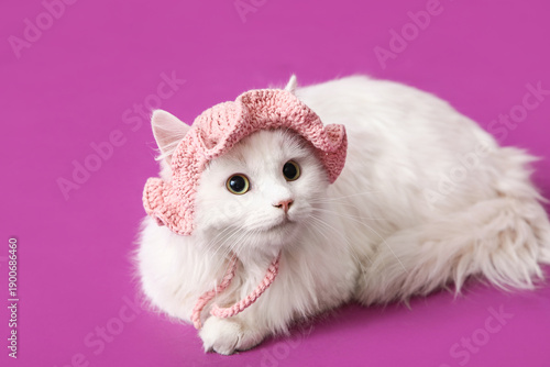 Cute white cat in funny pin...