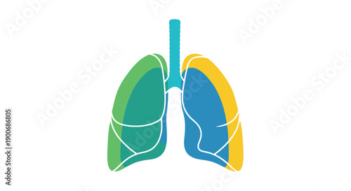 Stylized illustration of human lungs with colorful overlapping sections