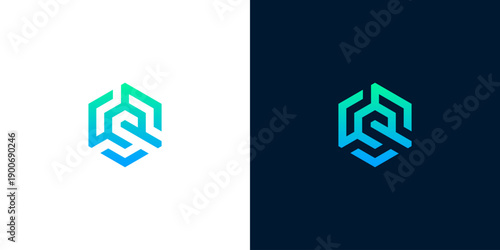 Modern abstract geometric cube or hexagon logo design with interconnected lines creating a sense of dynamic flow and digital connection, ideal for technology, business, or data branding initiatives