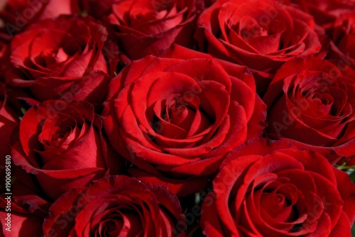 bouquet of red roses