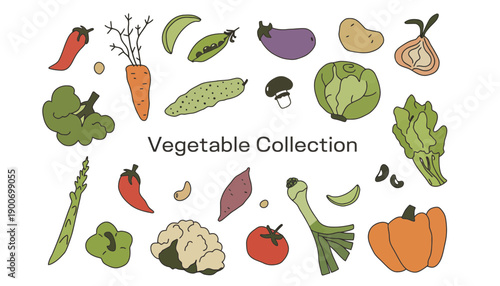A colorful illustration of various vegetables on a white background