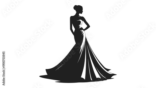 A beautiful woman in a stunning black evening gown silhouette