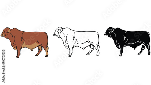 An illustration of three bulls in different colors and styles side by side
