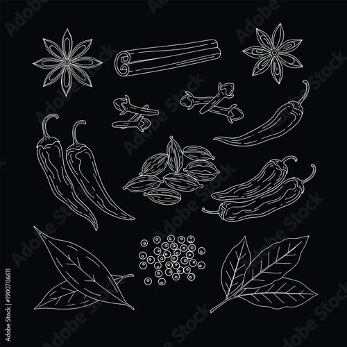 Collection of Spices and Herbs Hand Drawn Illustration.