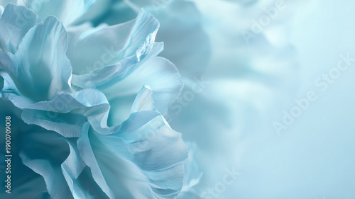 Blue flower petals creating a soft, delicate background with flowing organic shapes and tranquil light