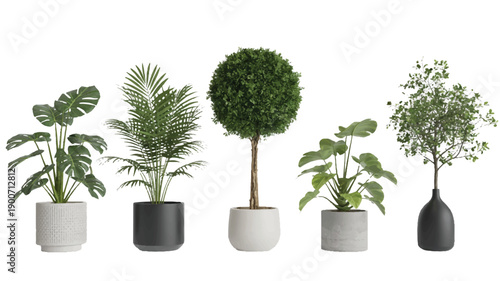A collection of diverse indoor houseplants in stylish modern pots, arranged for aesthetic appeal and interior decor