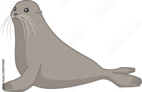 横を向いているアシカ