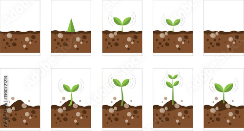 Plant Growth Cycle Sequence with Seed Germination and Sprout Development Flat Vector Illustration