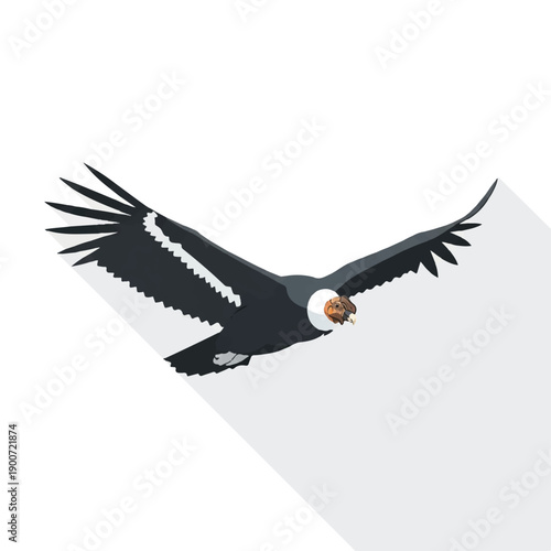 Black Bird Flying with Spread Wings.