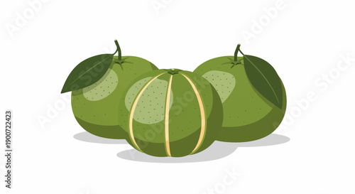 Three green citrus fruits with leaves casting shadows