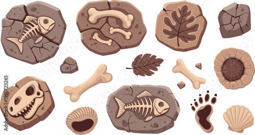 Prehistoric Dinosaur Fossil Vector Set with Skeletons, Bones, Skulls, Shells and Footprints