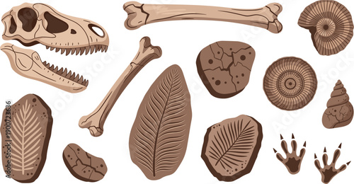 Prehistoric Dinosaur Fossil Vector Set with Skull, Bones, Shells, Leaf Imprints and Footprints