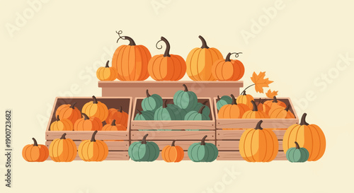 Rows of orange and green pumpkins displayed in wooden crates