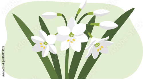 Simple illustration of white spring flowers with green leaves and buds