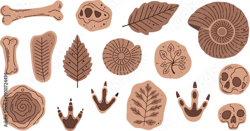Prehistoric Fossil and Footprint Vector Set with Dinosaur Bones, Skulls and Leaf Imprints