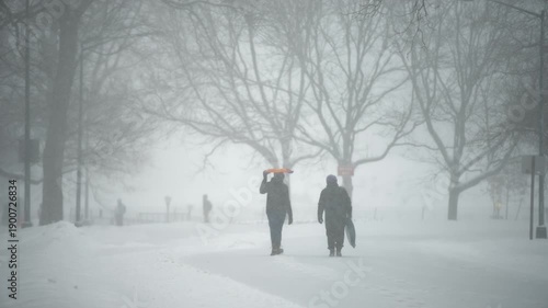 People carrying sleds during snowstorm in Central Park New York City