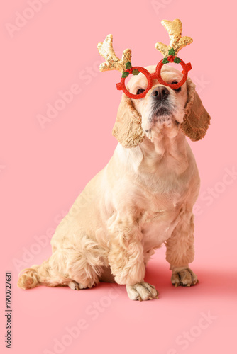 Cute Cocker Spaniel with fu...