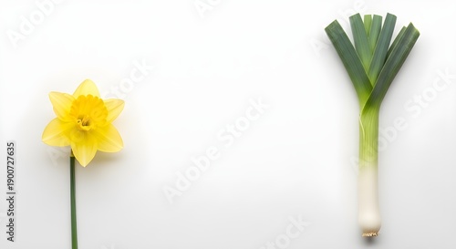 Minimal Floral and Vegetable Composition on White Background