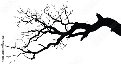 A solitary gnarled bare tree branch silhouette with intricate twigs extends diagonally across a white background