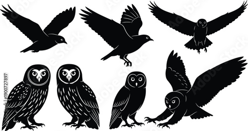 Owl bird silhouettes icons set, black flying and standing owls collection for wildlife, nature, nocturnal animals, logo, tattoo, vector design