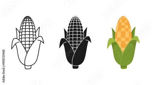 Three different illustrations of corn on the cob Vector