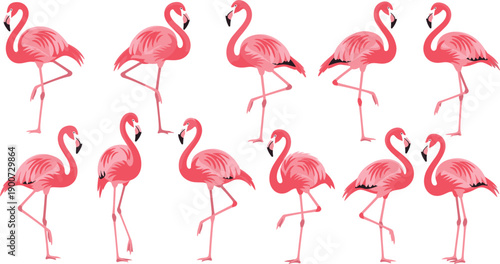 Large Set of Pink Flamingo Vector Illustrations in Various Elegant Poses for Tropical Summer Designs, Exotic Nature Themes, Beach Posters, and Wildlife Concept Art