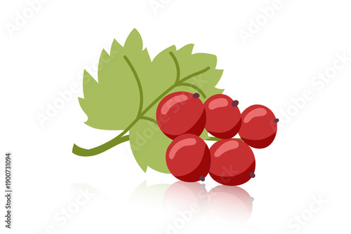 Red сurrant isolated on white background. Vector flat clipart.