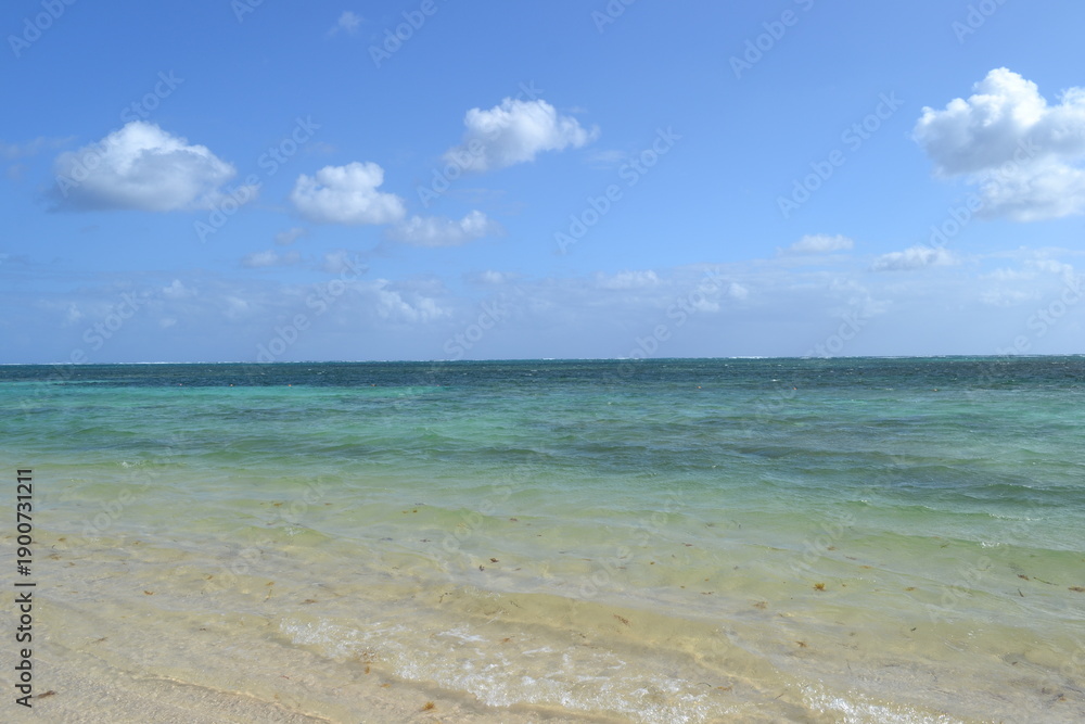 Fototapeta premium Turquoise Sea Coast with Clear Water and Blue Sky with Clouds