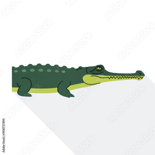 Crocodile Cartoon Illustration with Shadow.
