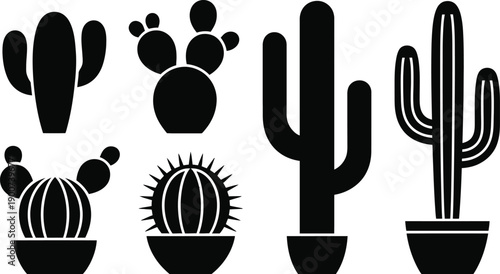 A collection of six different cacti and succulent plants in black and white