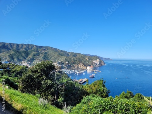 view of the sea and mountains of three palms overlook avalon bay