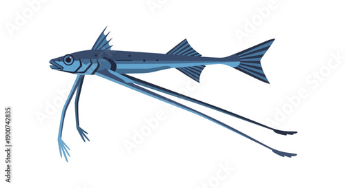 Illustration of a slender fish with elongated fins and tail in blue tones.