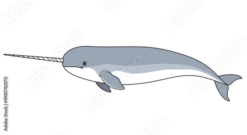 Illustration of a narwhal swimming in the ocean with its distinctive long tusk.