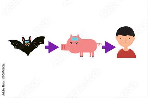 bat and pig zoonosis. nipah virus transmission concept