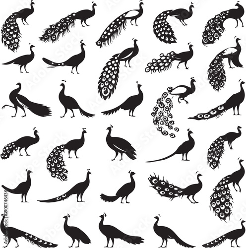 Peacock Silhouette Collection Diverse Poses and Tail Displays Stock Vector