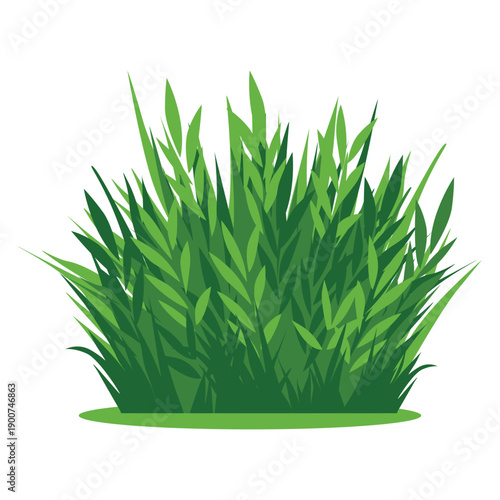 Illustration of a lush green grass bush with varying leaf lengths against a clean white background.