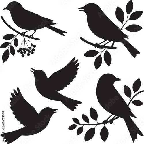 Silhouettes of birds perched on branches with leaves and berries, flying, vector art