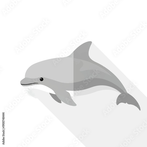 Gray Dolphin Illustration Isolated on White.