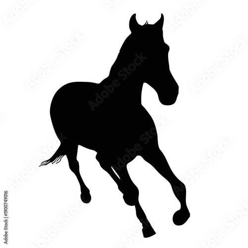 Silhouette of a mustang horse