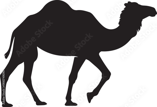 Camel. Black silhouette of a walking camel isolated on a white background.