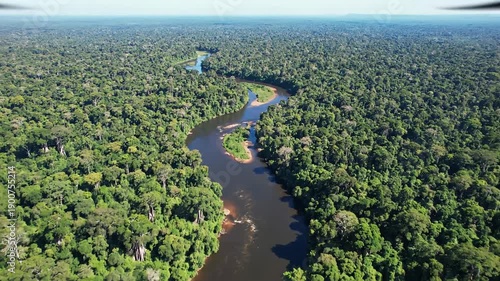 Wallpaper Mural Aerial view of a winding river flowing through a lush green forest landscape. Torontodigital.ca