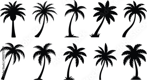 Black palm tree silhouette icon set featuring tropical coconut trees in various shapes, minimal flat nature symbols isolated on white background for summer design projects