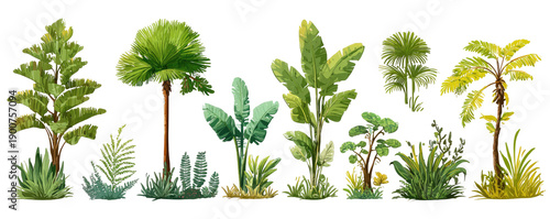 Lush jungle foliage, various tropical trees and plants