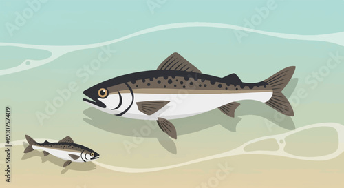 Two fish swimming in clear water with sandy bottom and ripples