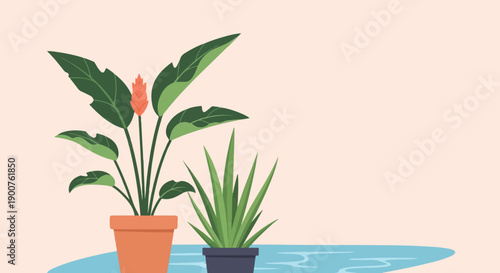 Two potted green plants with orange bloom, sitting on light blue water