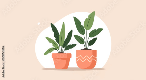 Two potted green plants with textured leaves in terracotta pots
