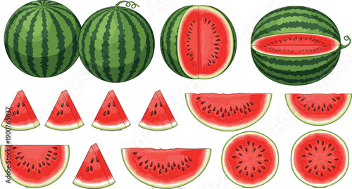 Set of fresh watermelon illustrations with whole fruits and sliced pieces, juicy summer fruit vector elements isolated on white background