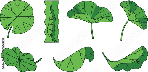 Stylized green tropical leaf vector set in various shapes for botanical nature foliage design