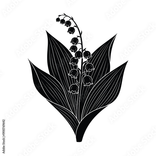 Minimalist Vector Outline of a Lily of the Valley with Blossoming Bell-Shaped Flowers
